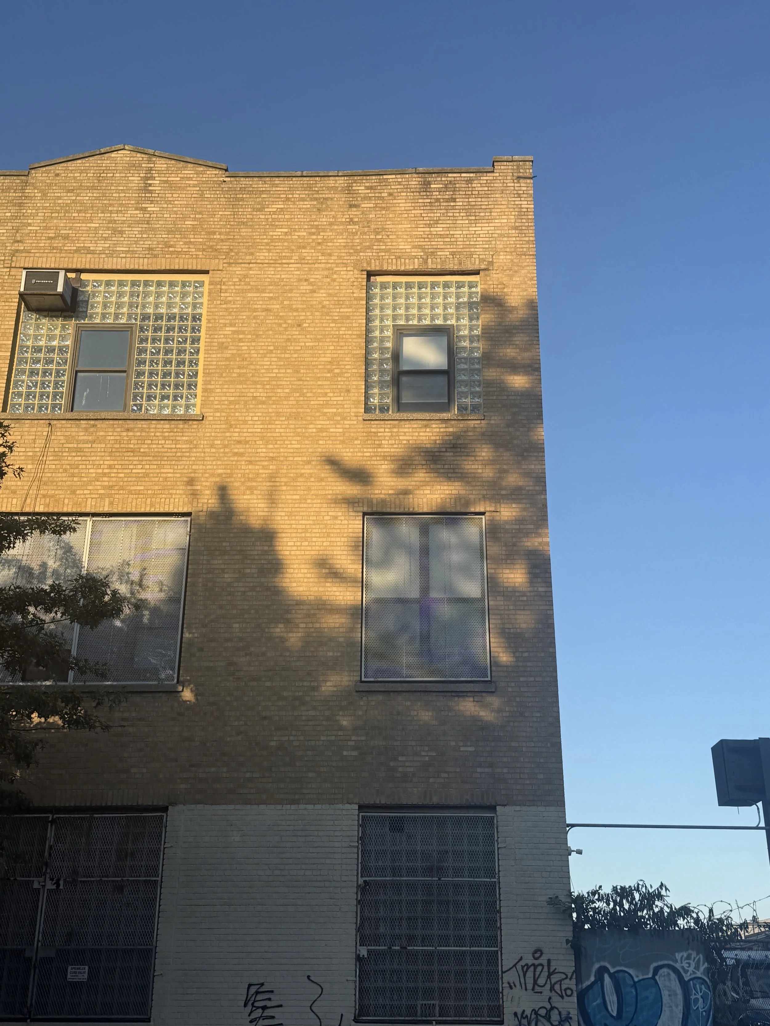 Brooklyn, NY 2025 - Juliana Schwartz