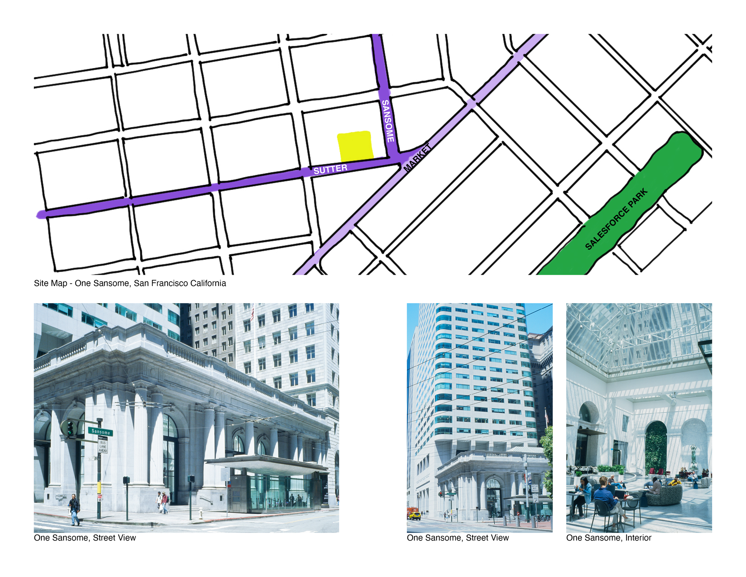 Window Shades Portfolio3.png