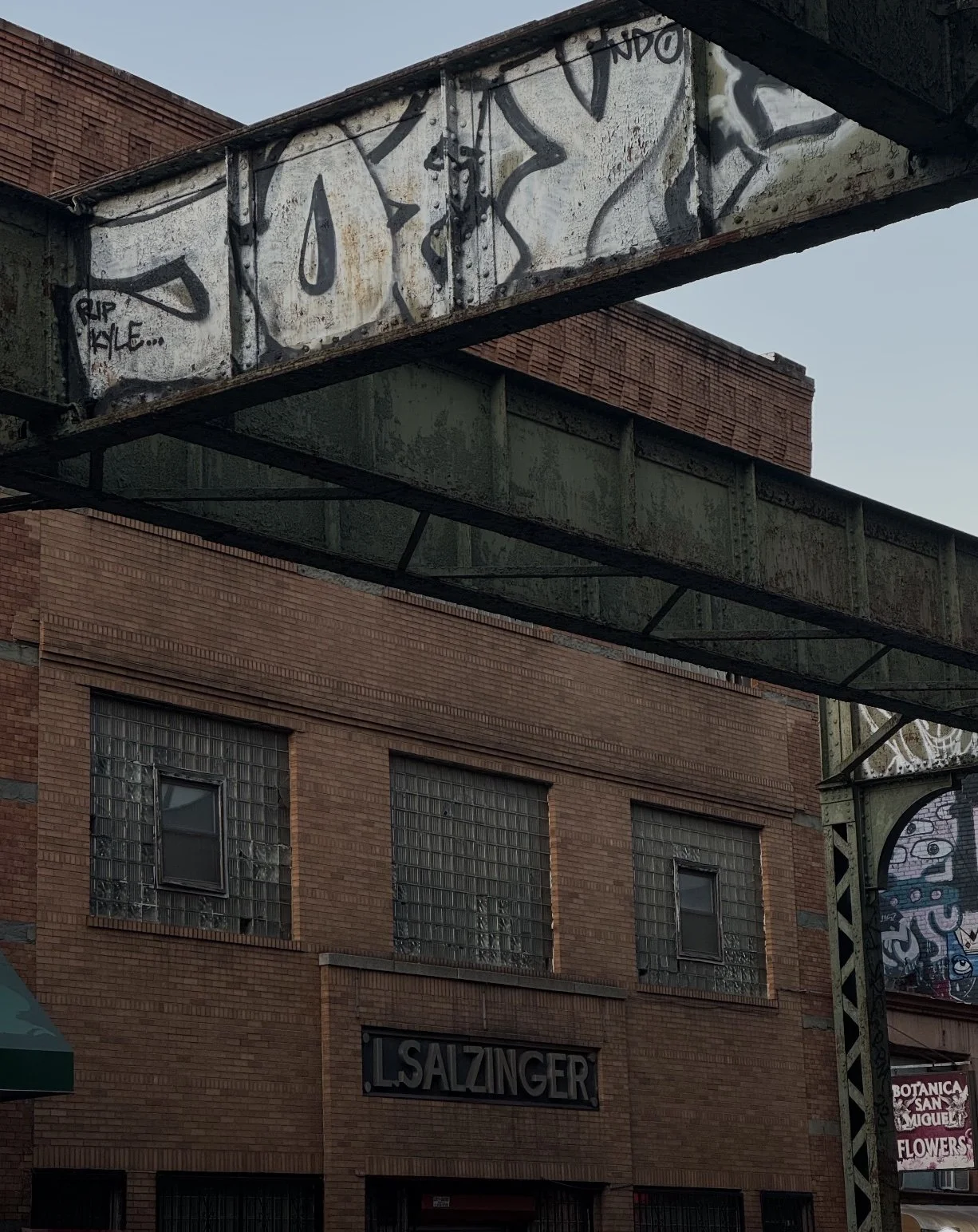 Brooklyn, NY 2026 - Sophie Potter