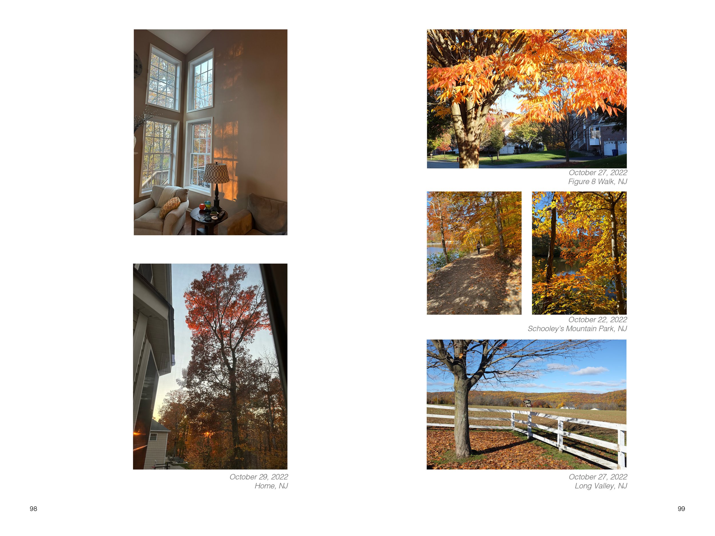2022 Light Book _for website50.jpg