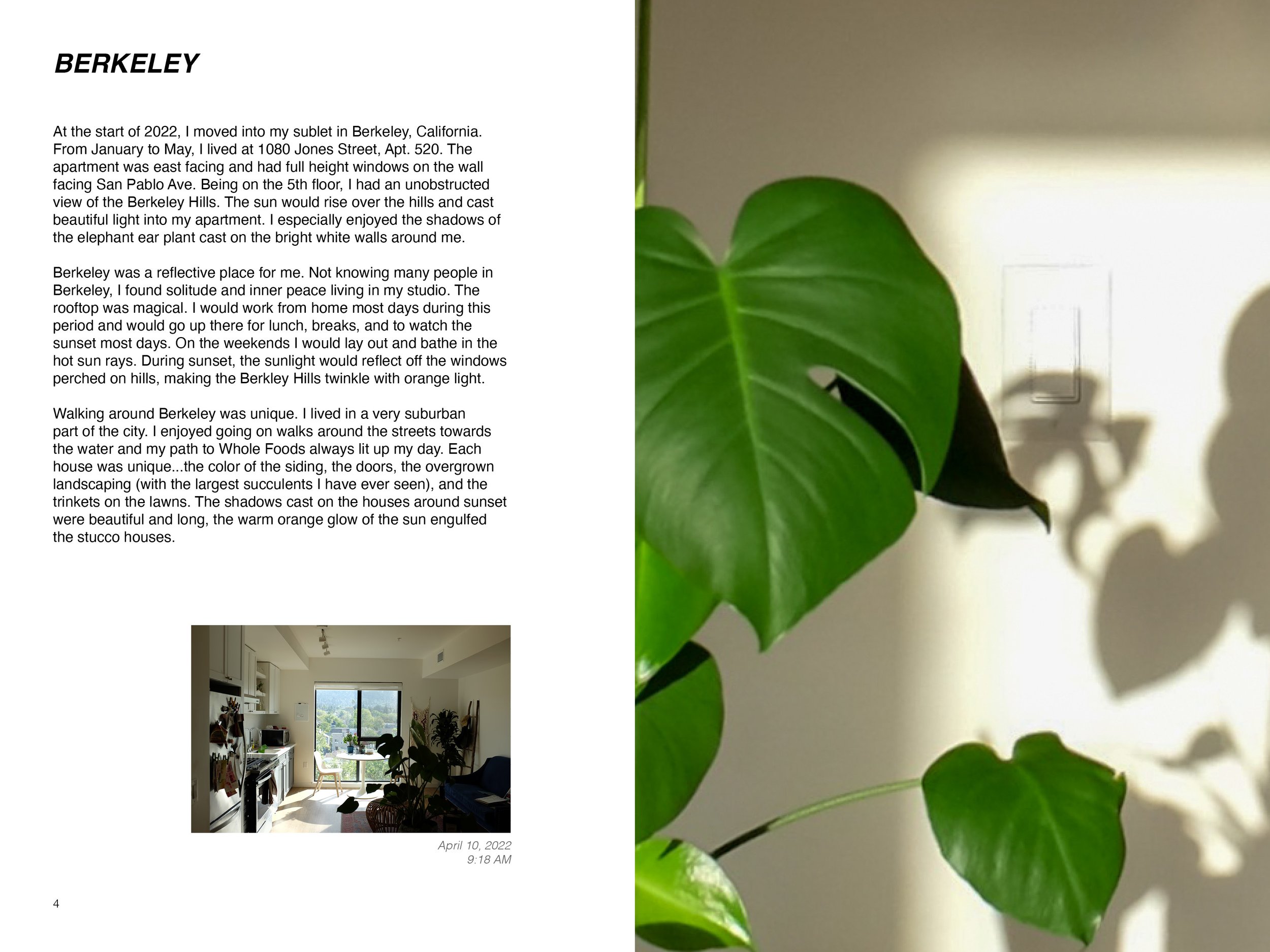 2022 Light Book _for website3.jpg