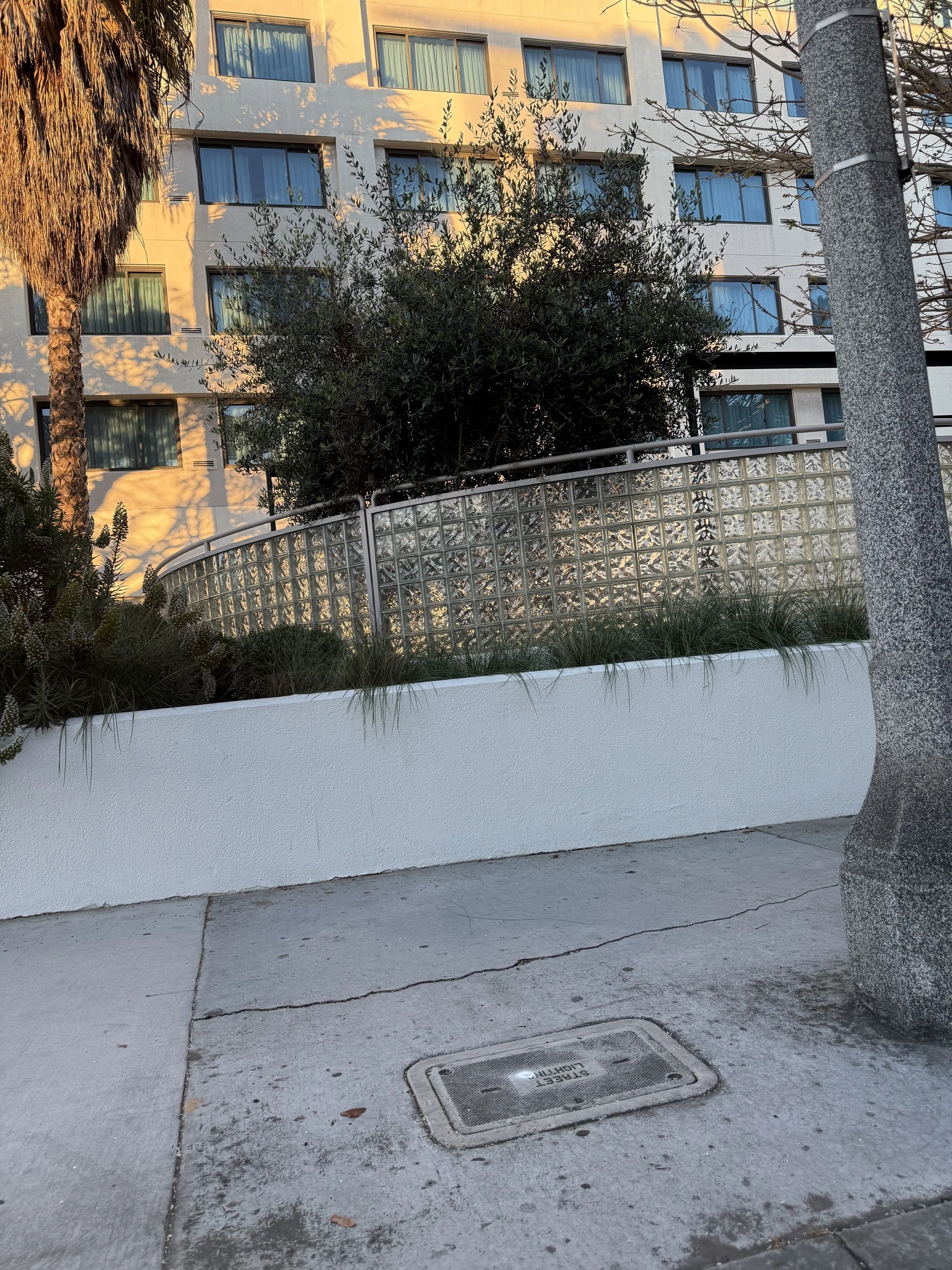 Los Angeles, CA 2026 - Sophie Amato