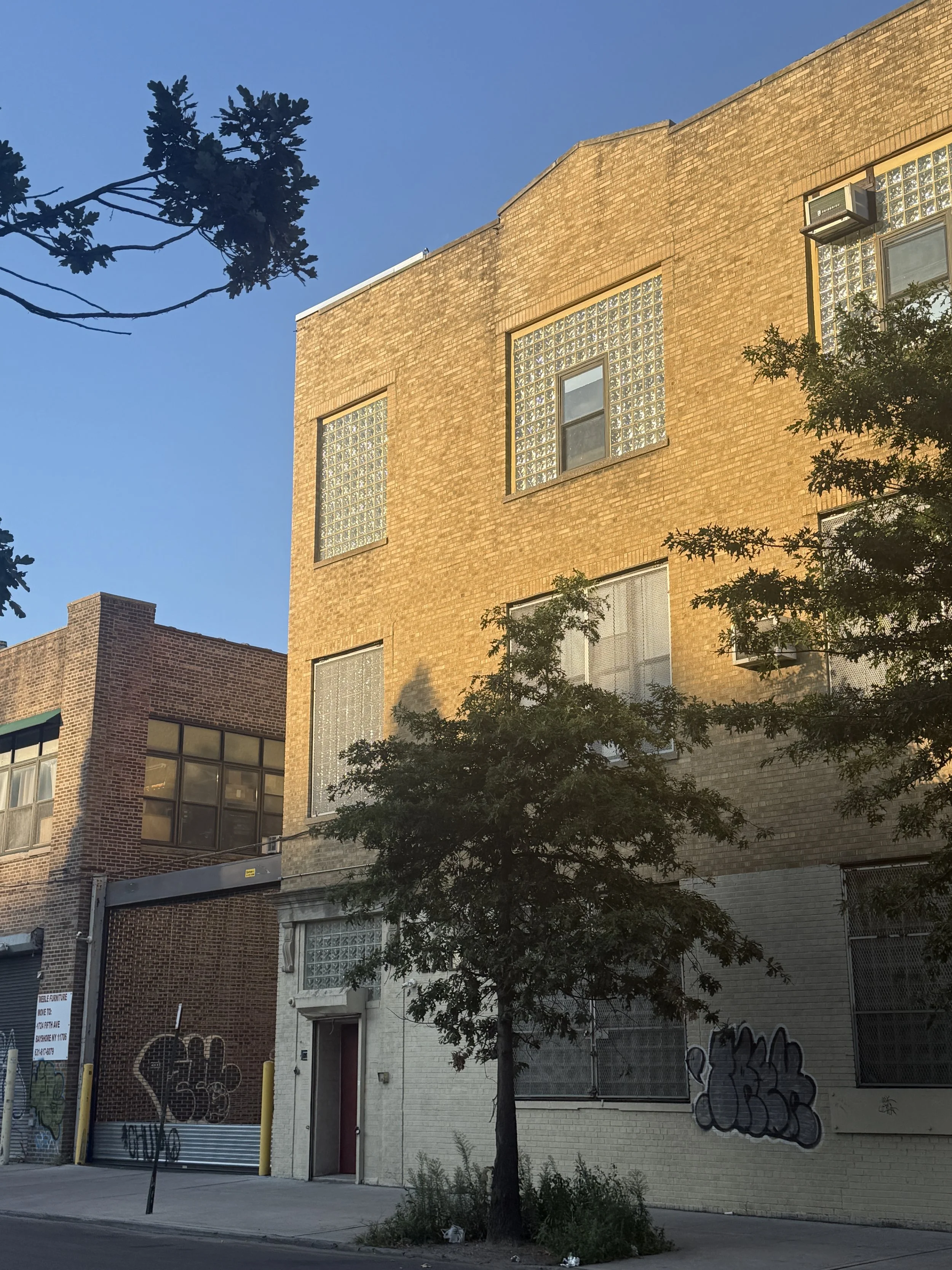 Brooklyn, NY 2025 - Juliana Schwartz
