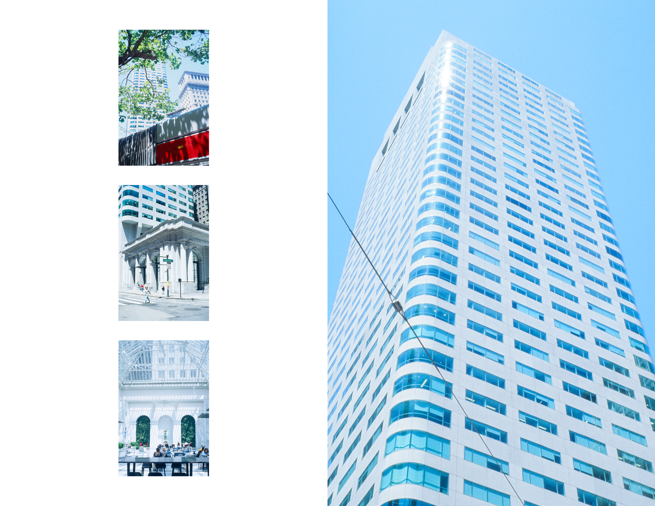 Window Shades Portfolio4.png