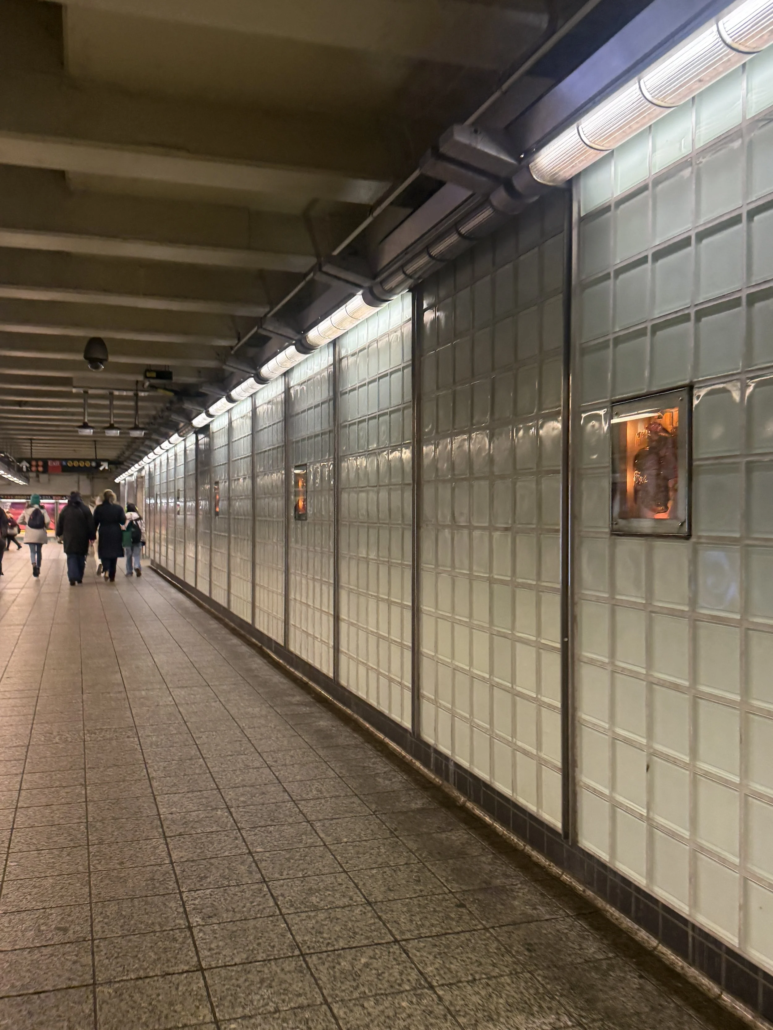 Times Square, NYC 2026 - Juliana Schwartz