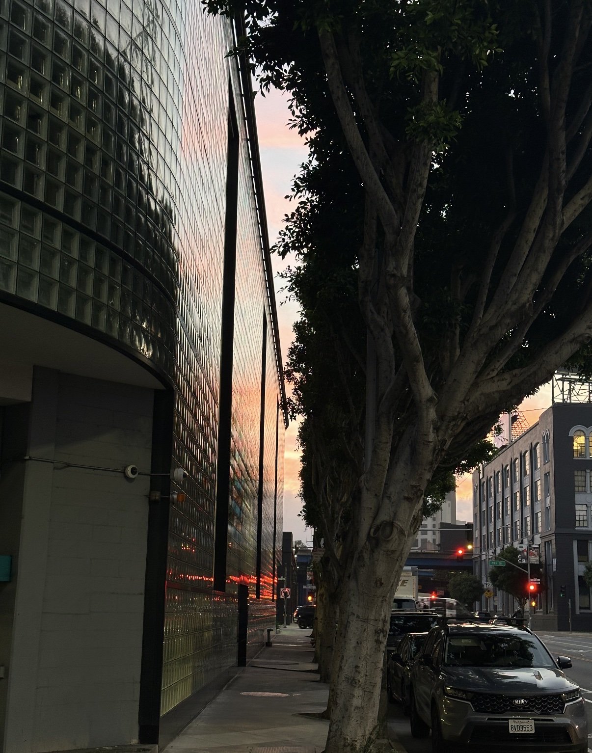 San Francisco, CA 2026 - Chen Zhang