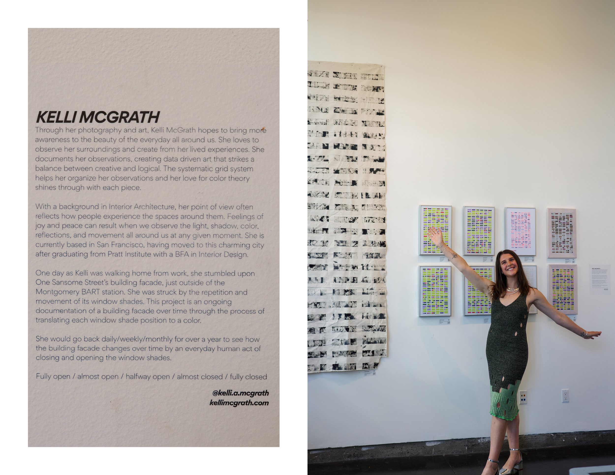 Window Shades Portfolio25.png