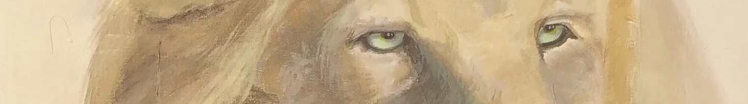 89CA6E5E-5034-4DDC-9398-38CF13138A18