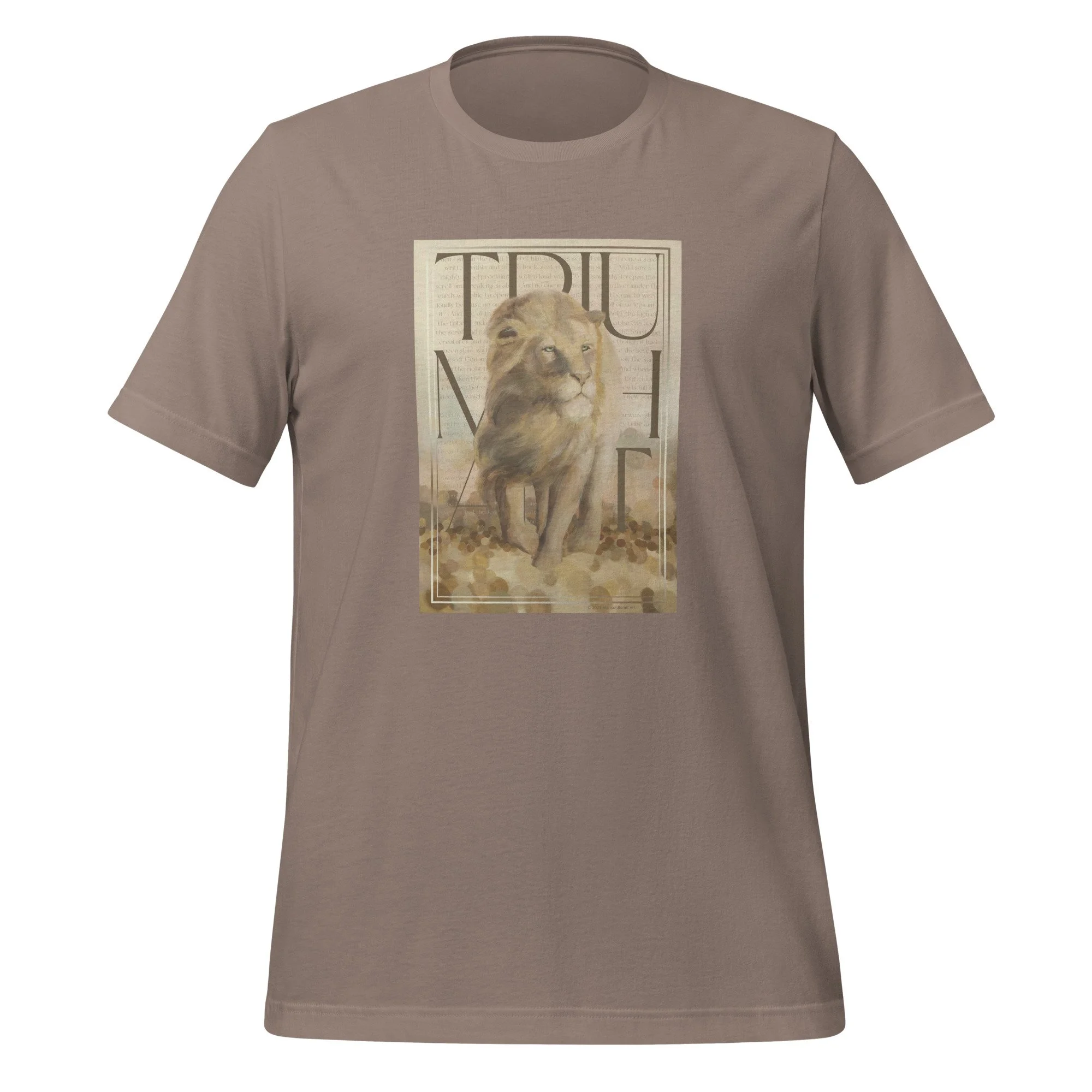 unisex-staple-t-shirt-pebble-front-67f1ffed0ca10.jpg