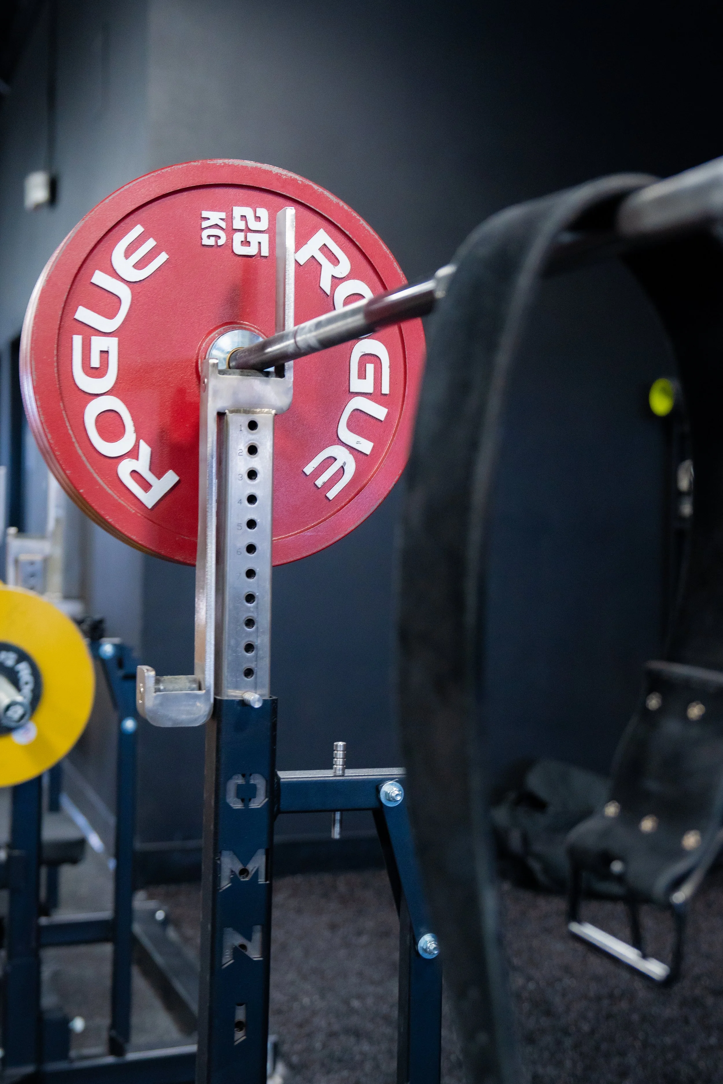 Omni Strength | Gym & Coaching | Powerlifting | Fullerton, CA