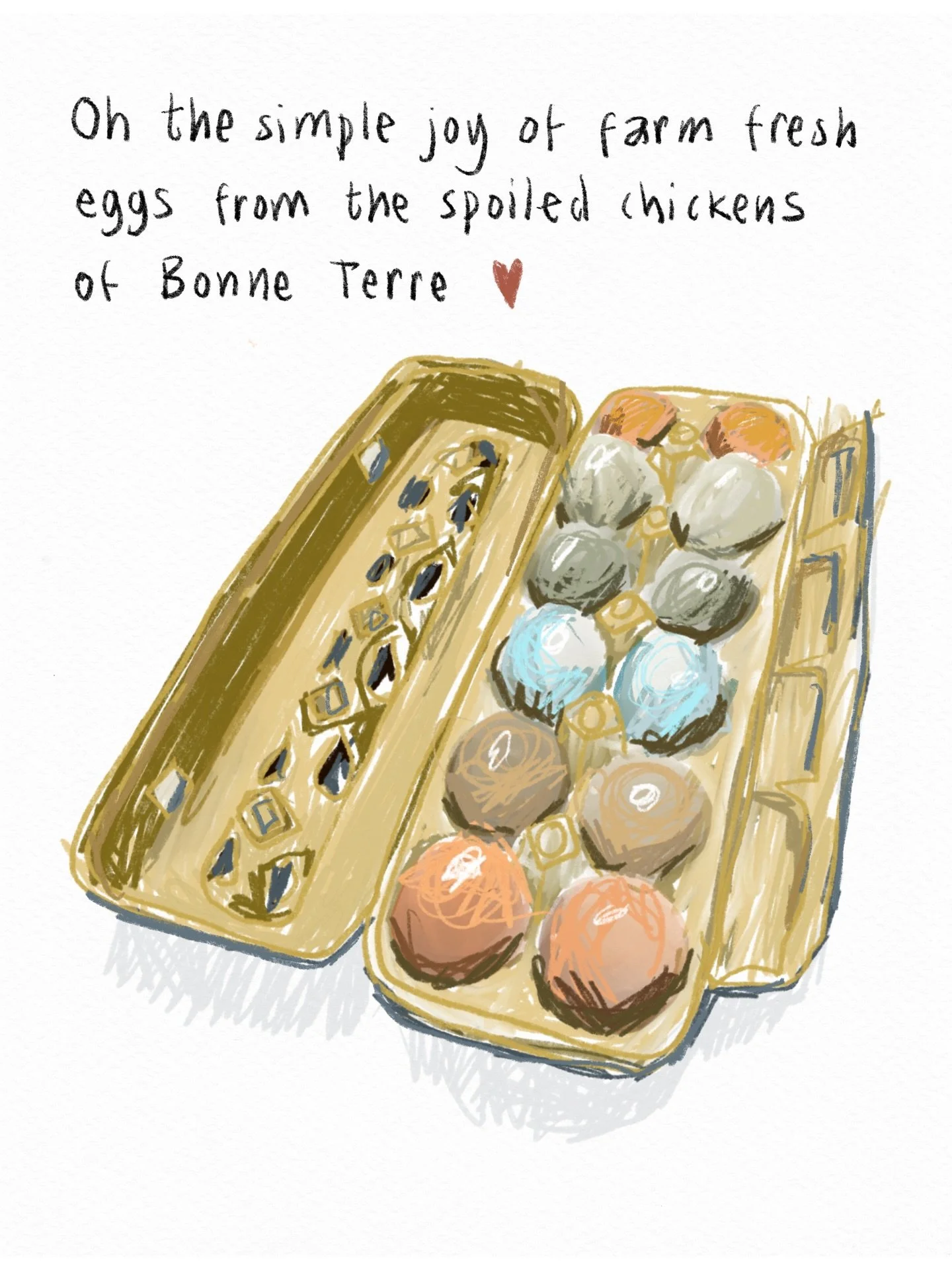 The simple joy of farm fresh eggs from the spoiled chickens of @bonneterrela (Thank you @jennifer.l.gray )