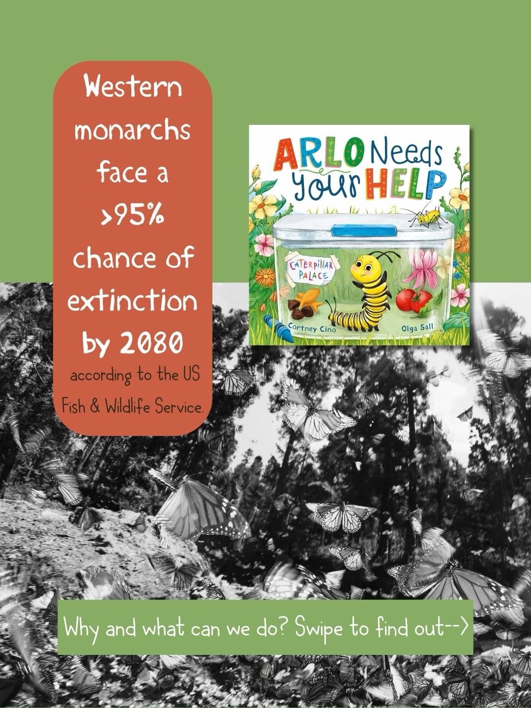 Western monarchs are in trouble. With a greater than 95% chance of extinction in less than 60 years (yes, that&rsquo;s according to the US Fish and Wildlife Service), the threat is real. But education can help, and early education will have a lasting