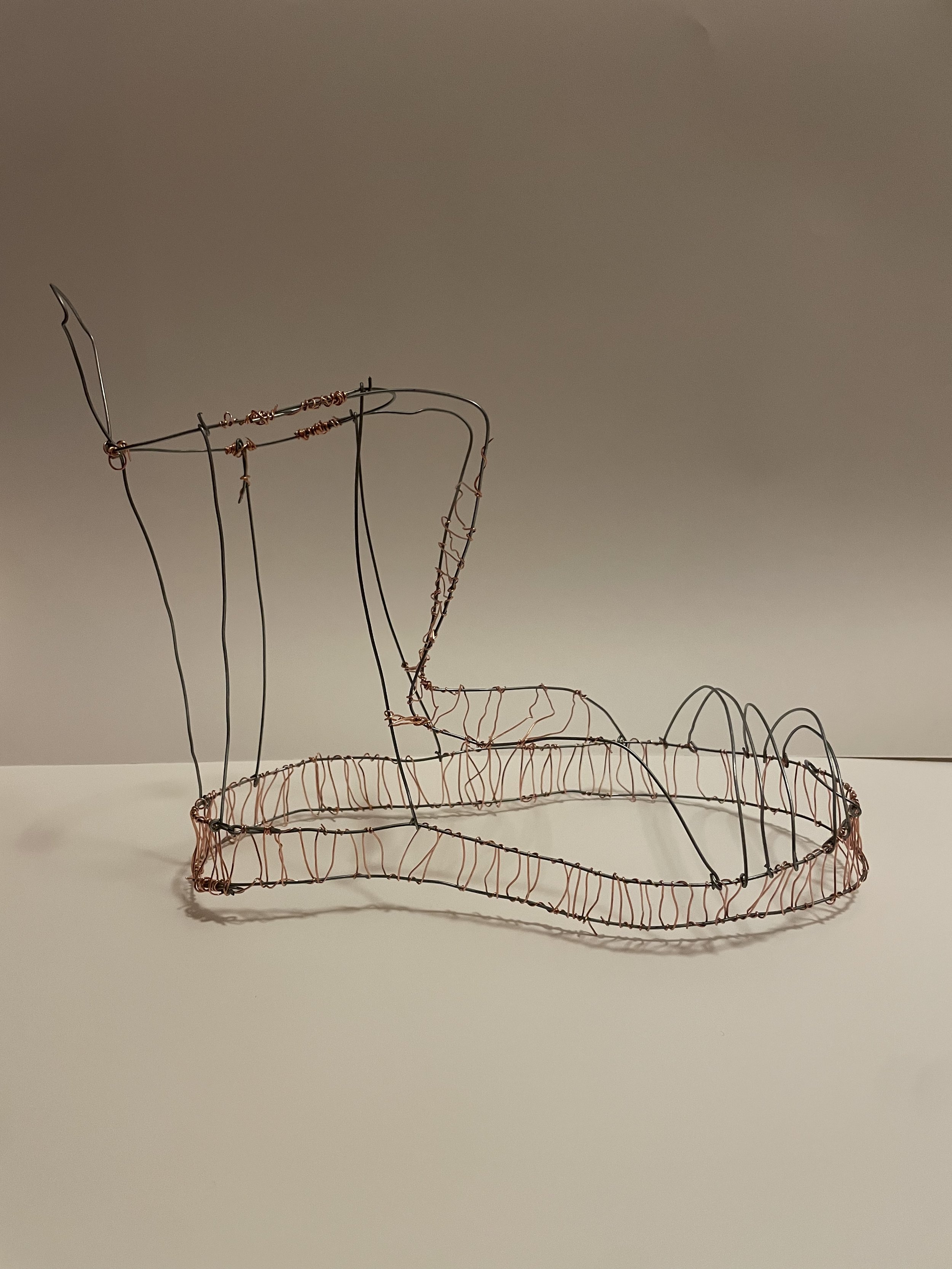 Wire Shoe Sculpture