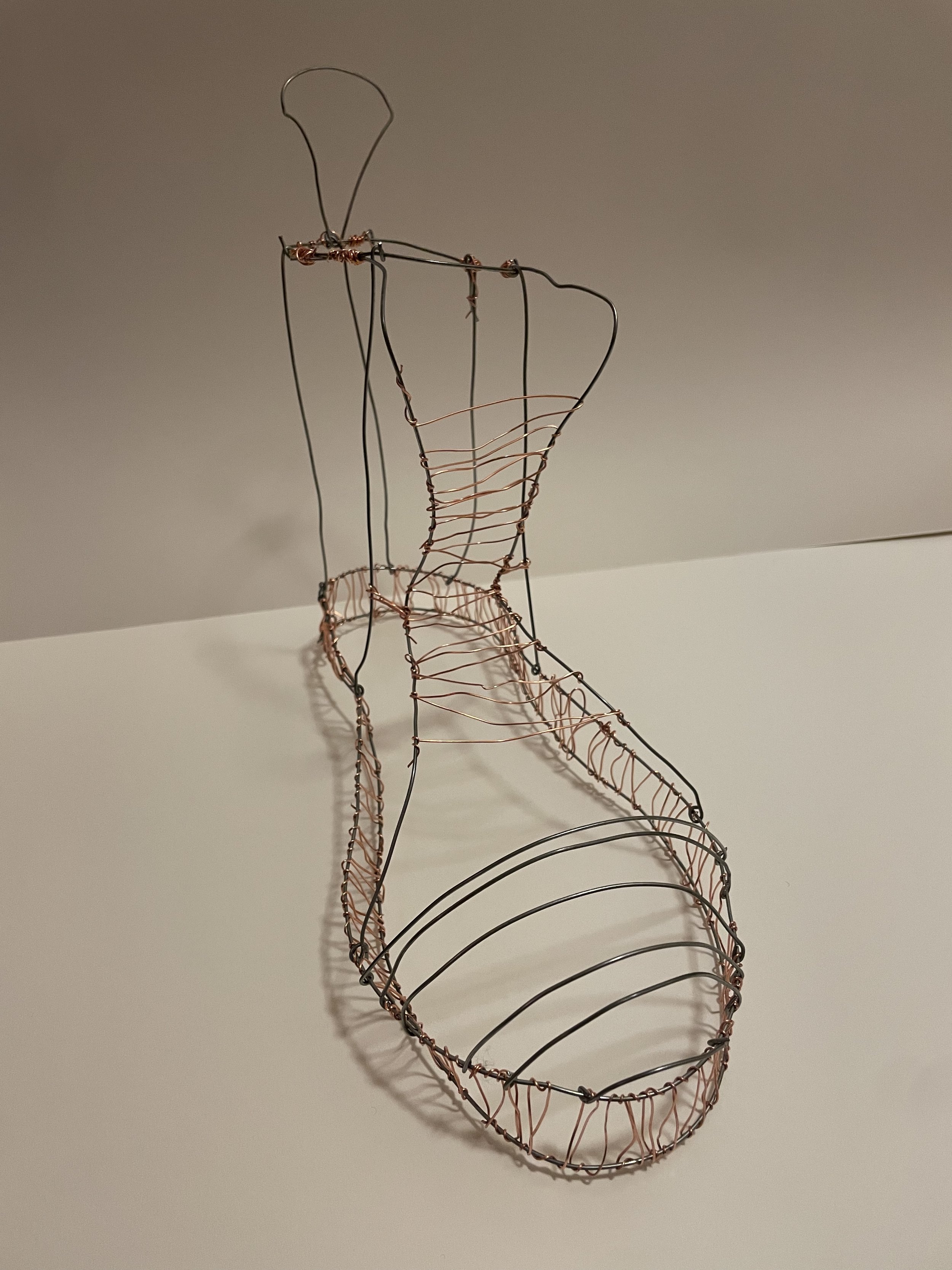 Wire Shoe Sculpture