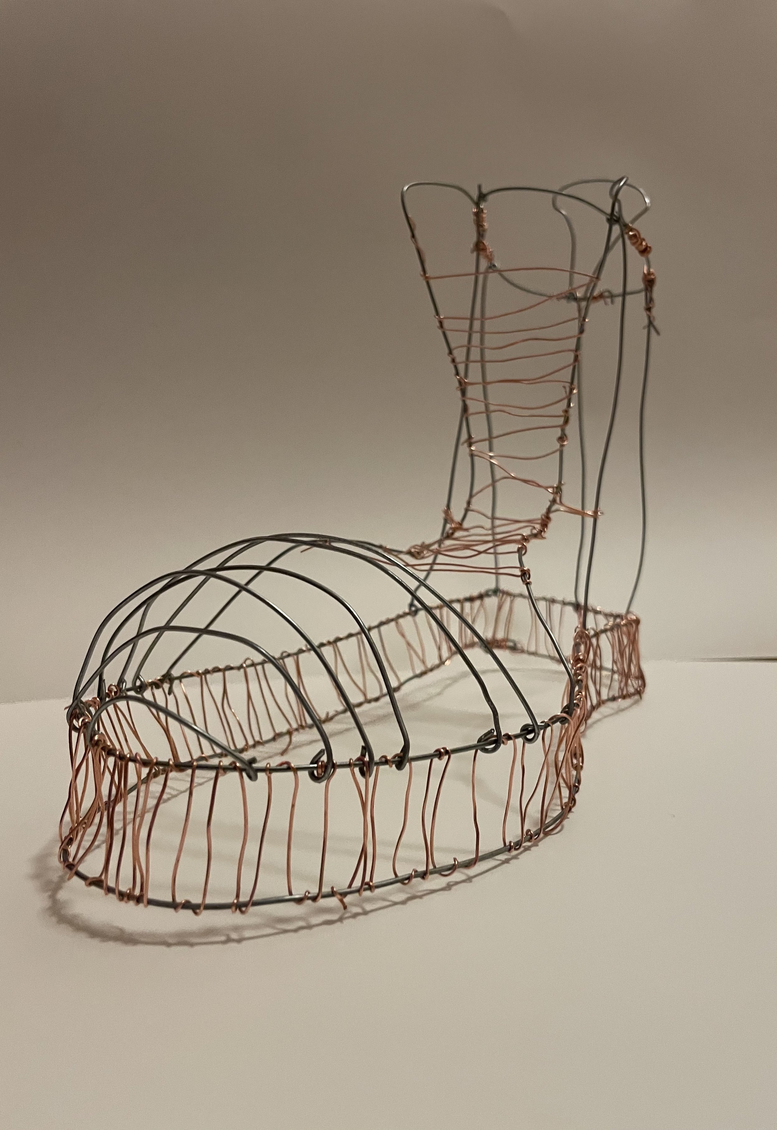 Wire Shoe Sculpture