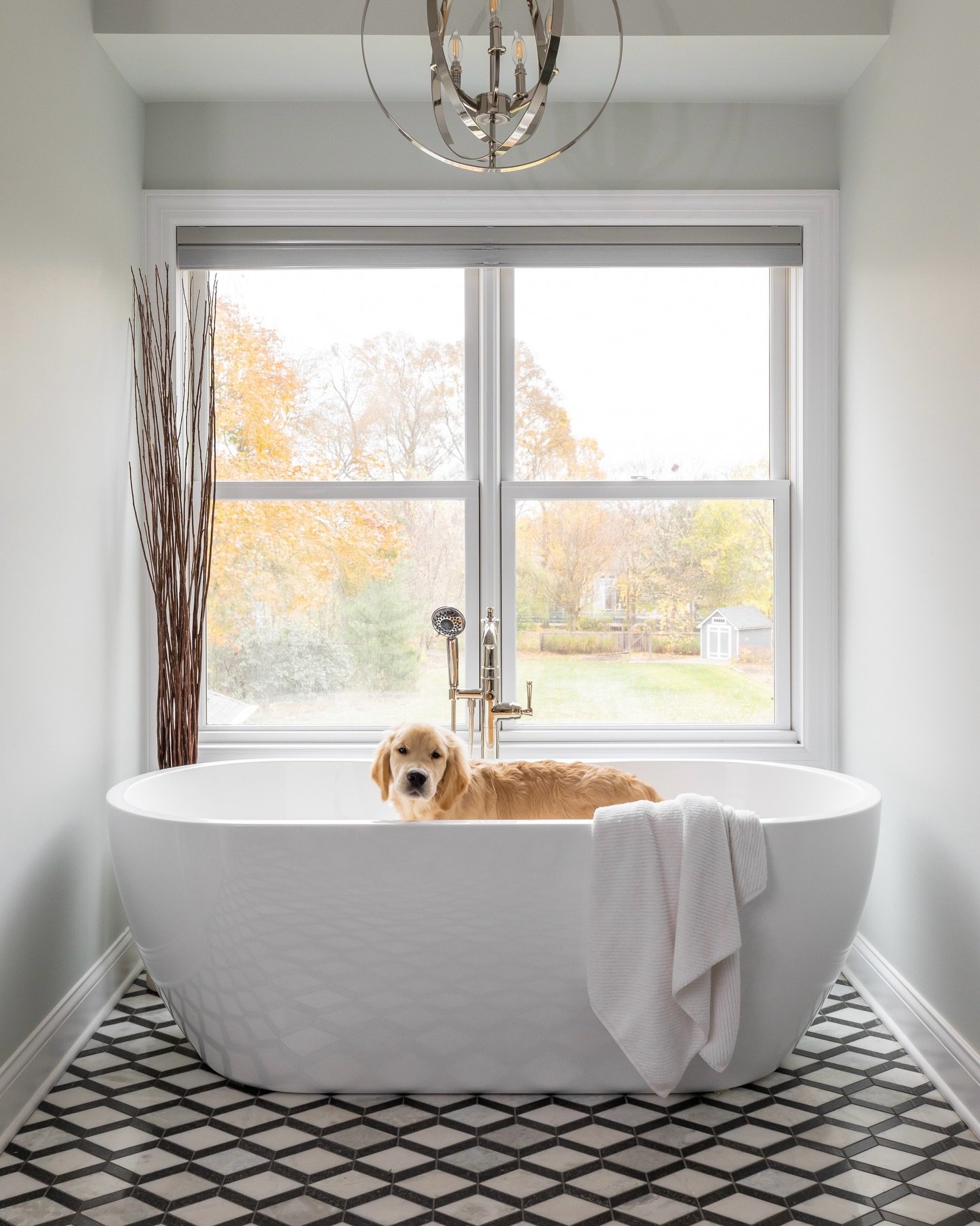 A good spot to hide from the world. 

Project: &ldquo;Sit. Stay. Home.&rdquo;
Photos by @yandbinteriorsphotography 

#tubtime #soakertub #homedesign #primarybathroomdesign #goldenretriever