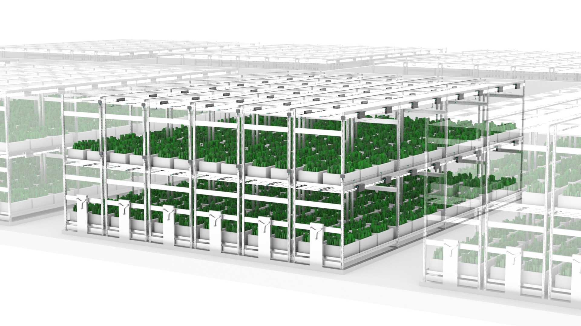 GrowFlux_Still_02.png