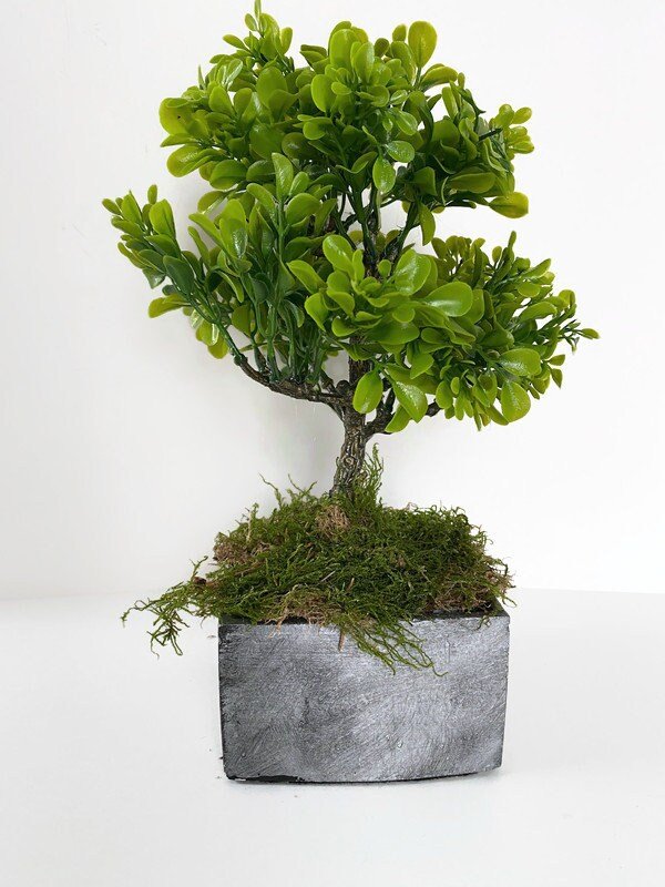 https://i.etsystatic.com/10620570/r/il/7137cb/4754032998/il_fullxfull.4754032998_1inw.jpg