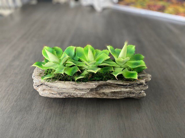 https://i.etsystatic.com/10620570/r/il/3d3c04/3450781706/il_fullxfull.3450781706_1rwn.jpg