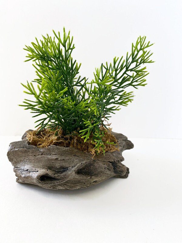 https://i.etsystatic.com/10620570/r/il/47b31e/3711527117/il_fullxfull.3711527117_rb6f.jpg