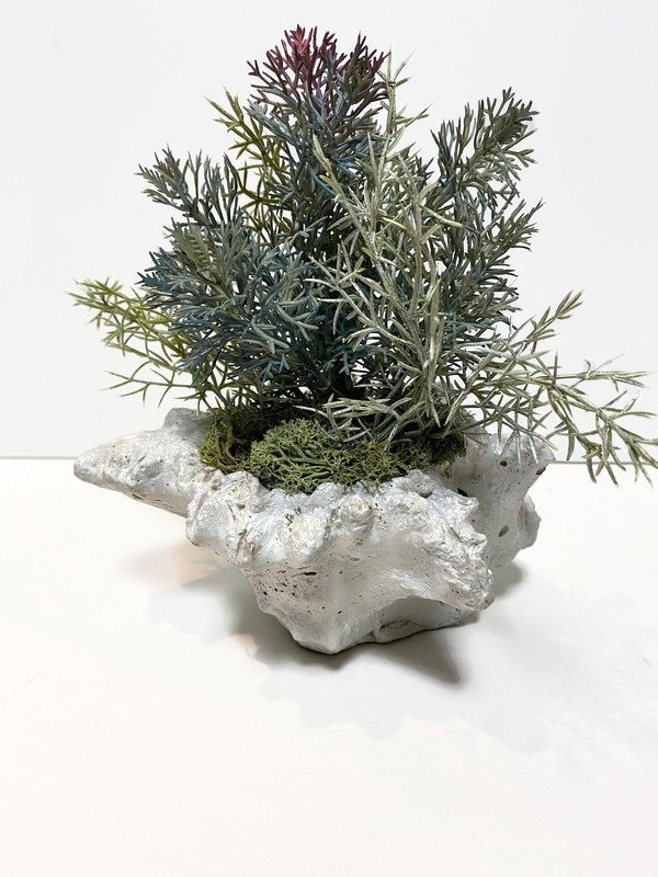 https://i.etsystatic.com/10620570/r/il/24d916/4668176880/il_fullxfull.4668176880_mscj.jpg