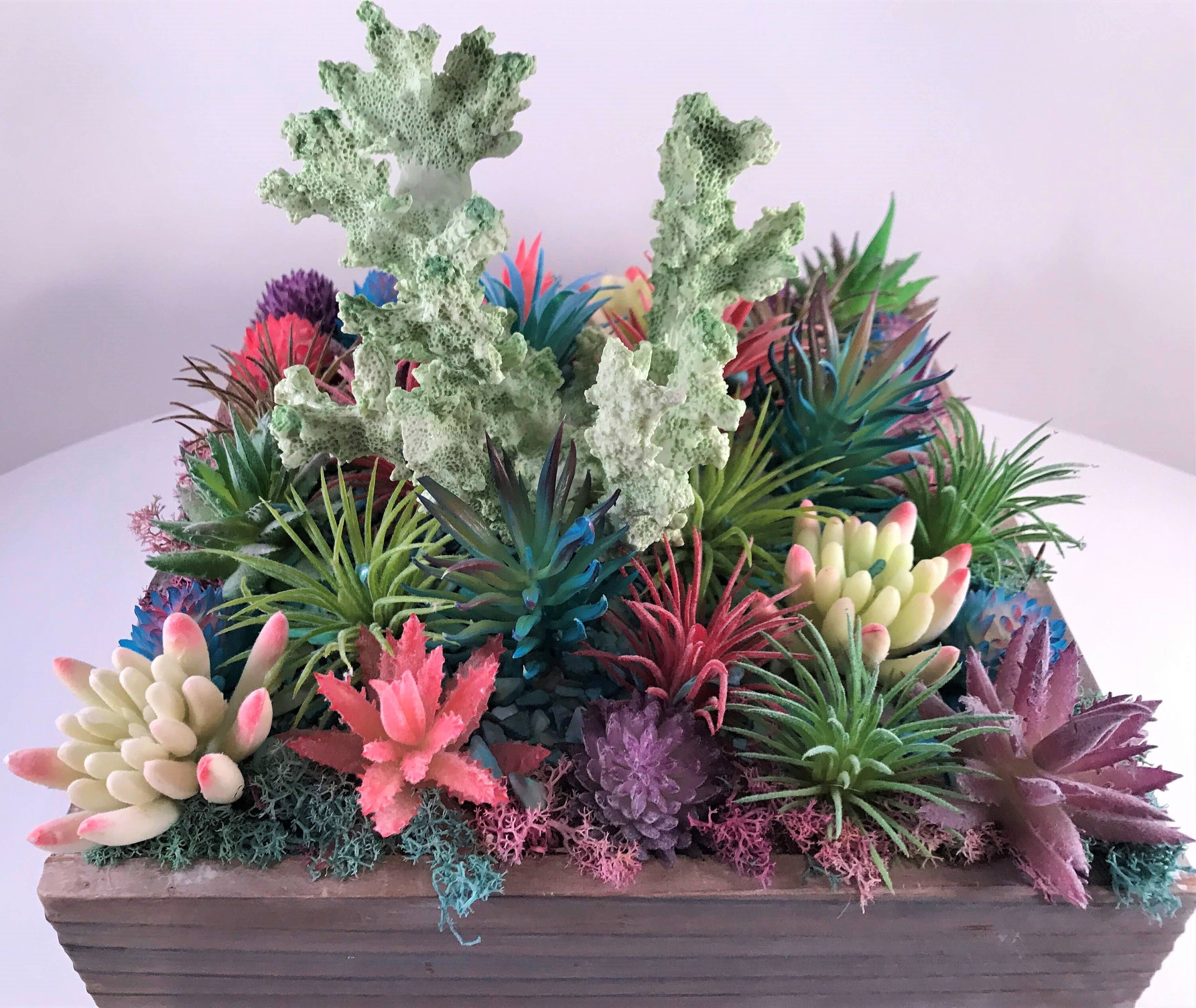 https://i.etsystatic.com/10620570/r/il/3fcbc4/1519187850/il_fullxfull.1519187850_nn2x.jpg