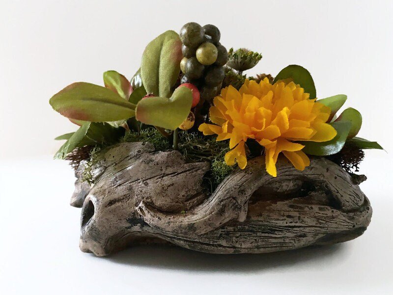 https://i.etsystatic.com/10620570/r/il/5c832a/4219221104/il_fullxfull.4219221104_hwrs.jpg