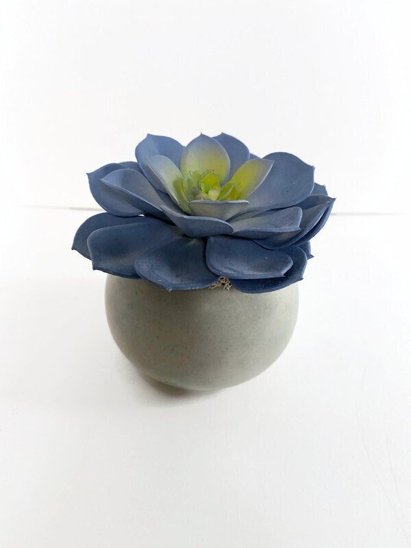 https://i.etsystatic.com/10620570/r/il/9fa907/3954285925/il_fullxfull.3954285925_5exs.jpg