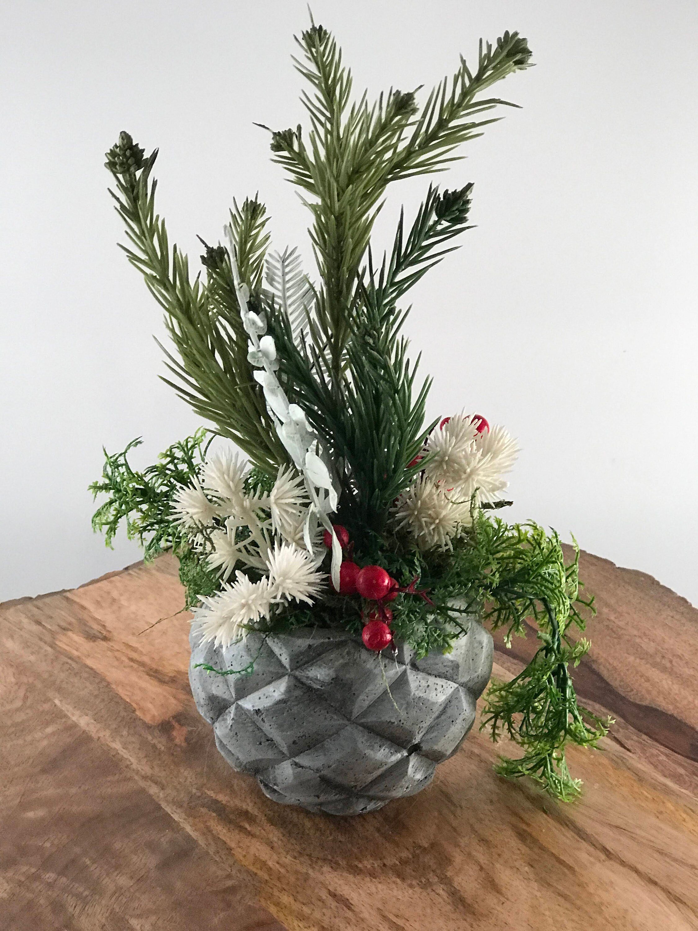 https://i.etsystatic.com/10620570/r/il/2f9c0d/2158375505/il_fullxfull.2158375505_5fo2.jpg