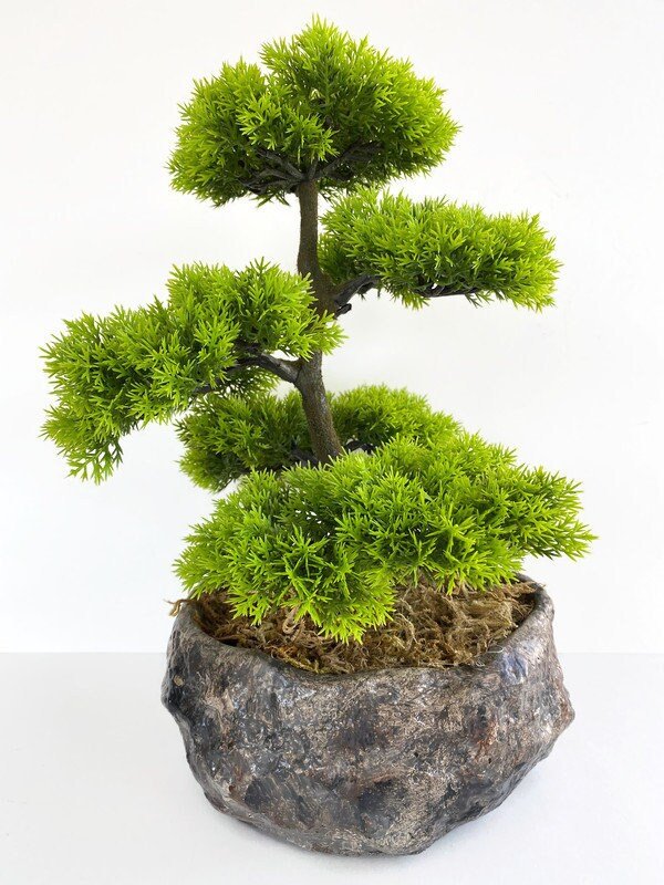 https://i.etsystatic.com/10620570/r/il/8fd1cc/4117025644/il_fullxfull.4117025644_j3ef.jpg
