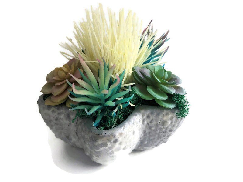 https://i.etsystatic.com/10620570/r/il/5d6479/3615890761/il_fullxfull.3615890761_g0pp.jpg