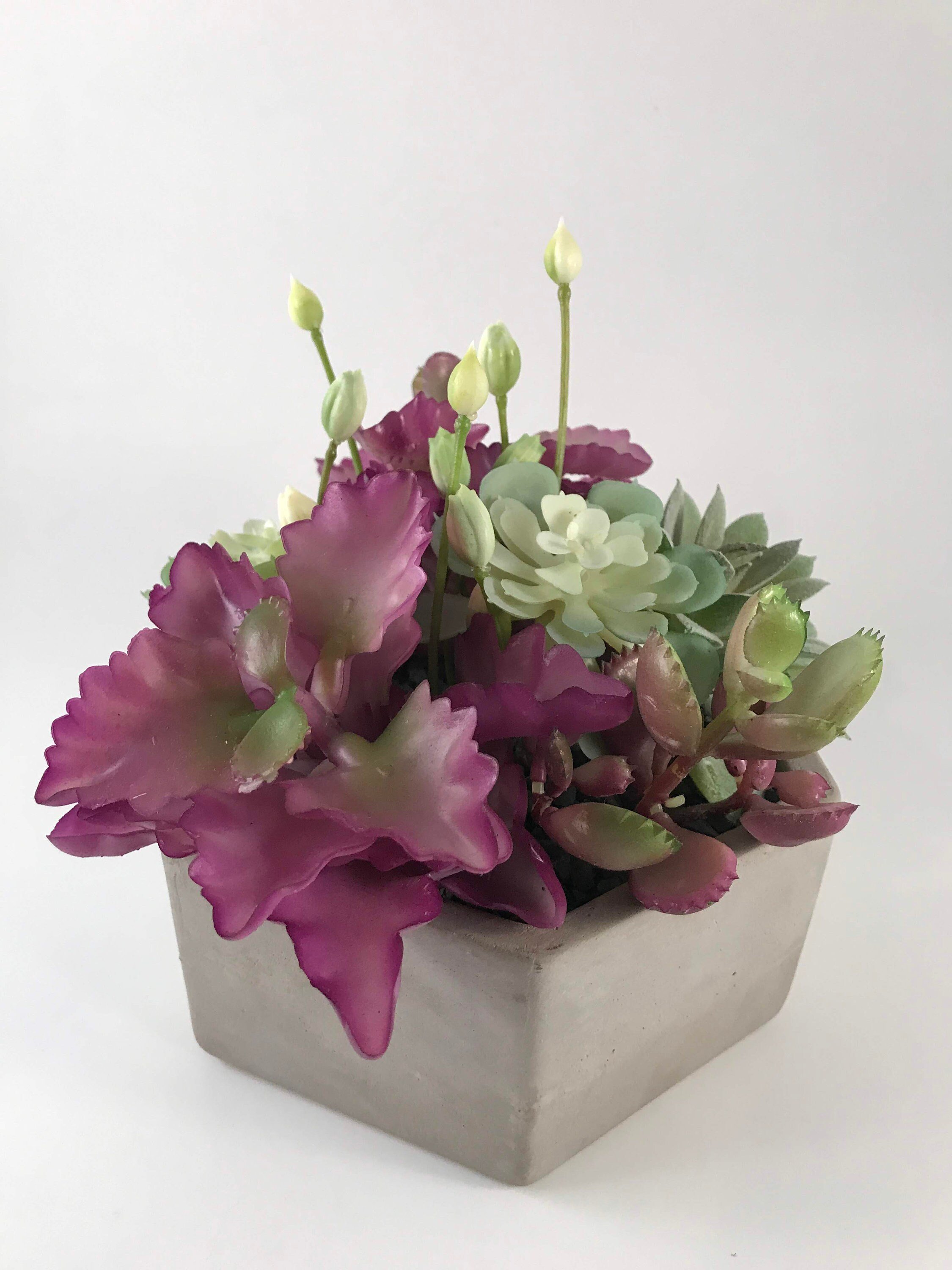 https://i.etsystatic.com/10620570/r/il/90367e/1720050956/il_fullxfull.1720050956_s7zd.jpg