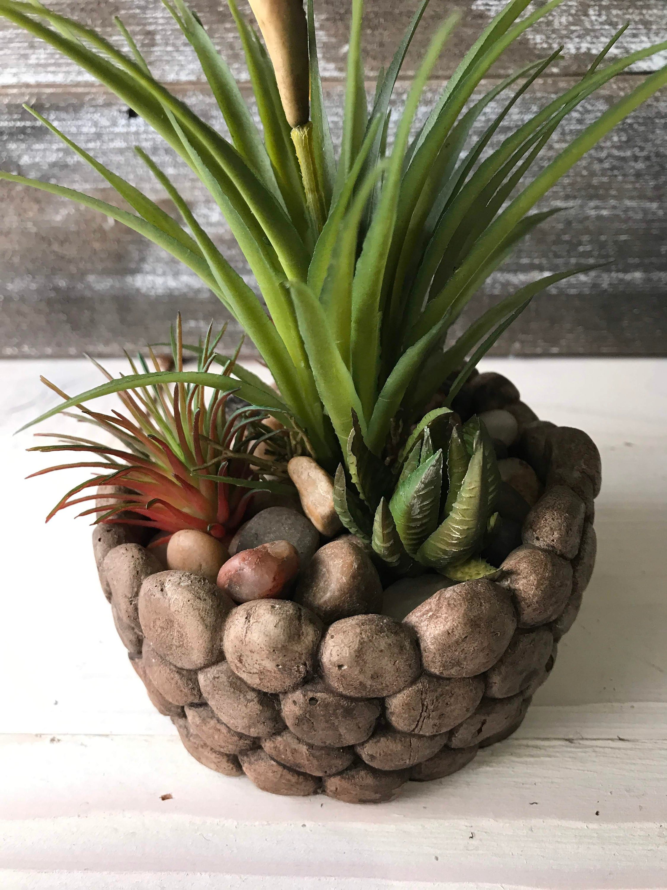 https://i.etsystatic.com/10620570/r/il/5b0cb0/2293338651/il_fullxfull.2293338651_9pl0.jpg