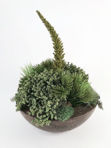 https://i.etsystatic.com/10620570/r/il/18a124/3634725885/il_fullxfull.3634725885_qia0.jpg