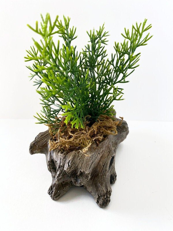 https://i.etsystatic.com/10620570/r/il/b7a59b/3711527183/il_fullxfull.3711527183_17pg.jpg