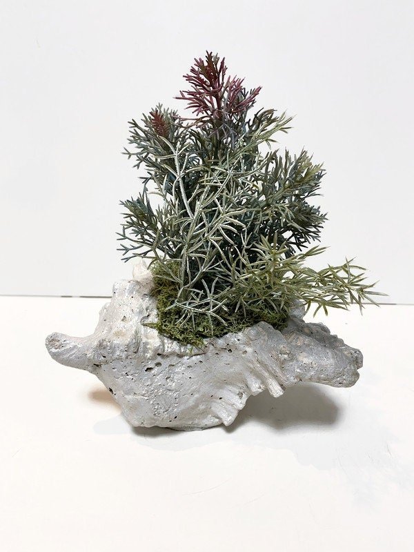 https://i.etsystatic.com/10620570/r/il/6e2c6f/4668176924/il_fullxfull.4668176924_2ujk.jpg