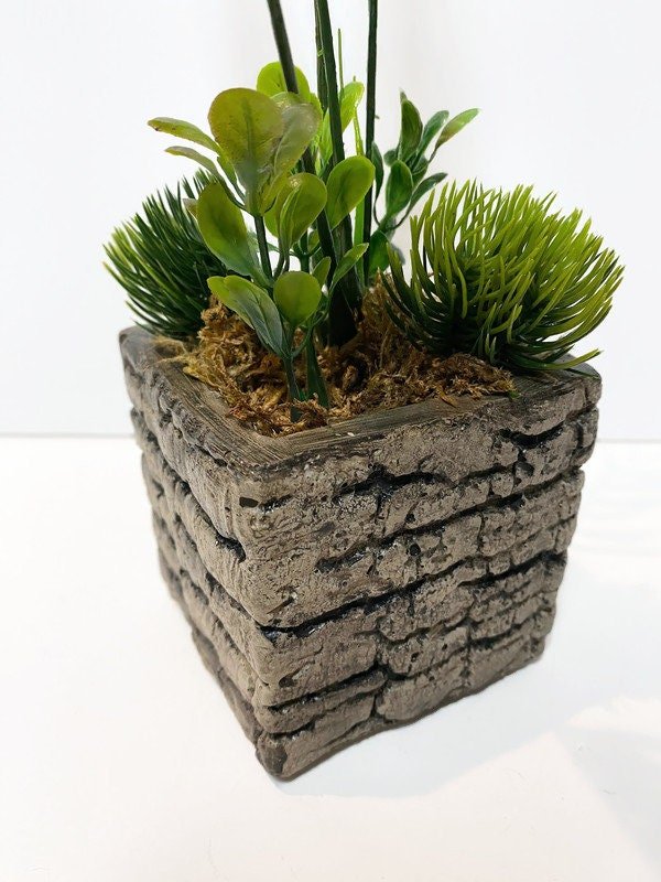 https://i.etsystatic.com/10620570/r/il/73b058/4668524726/il_fullxfull.4668524726_8dmb.jpg