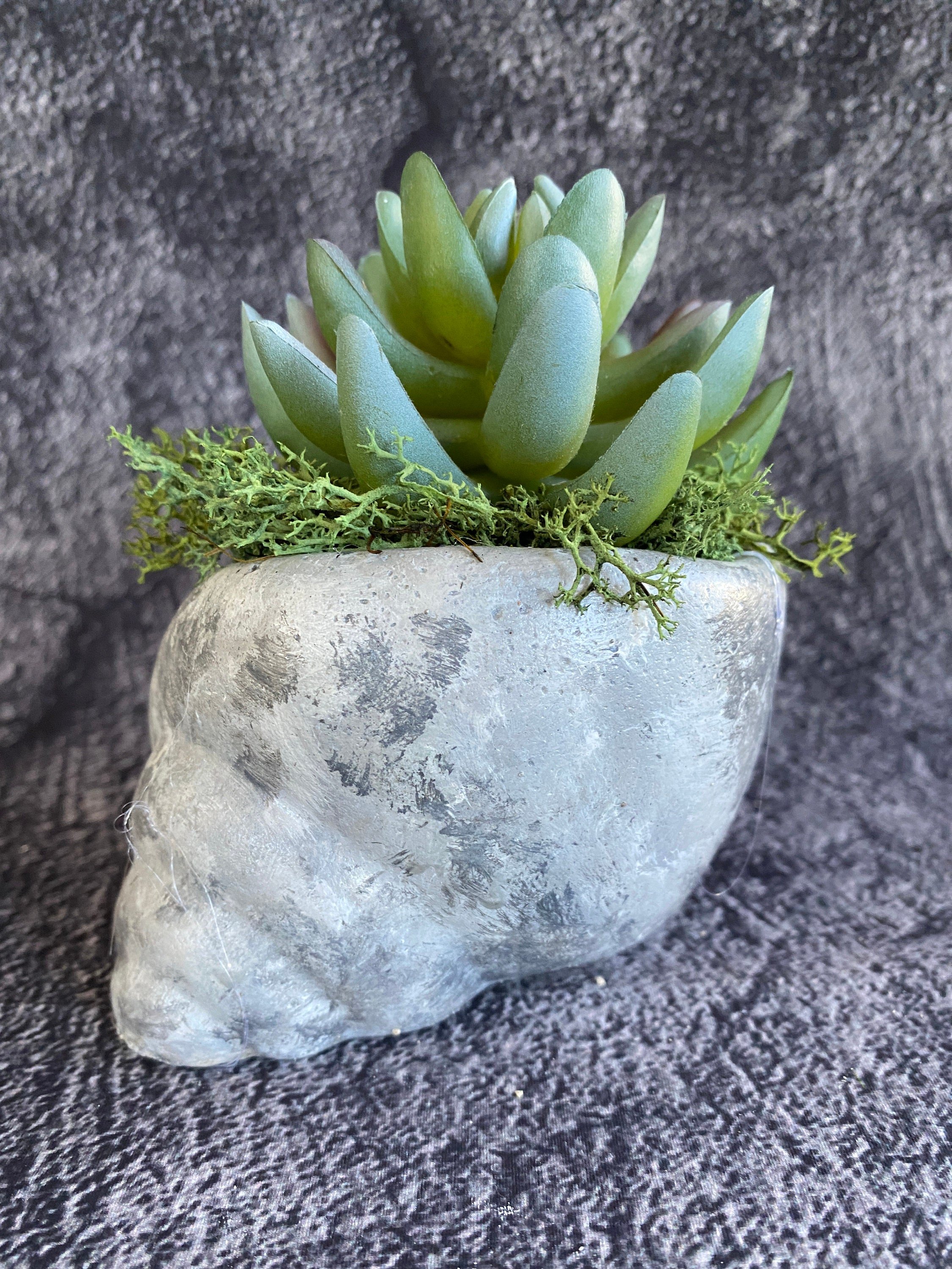 https://i.etsystatic.com/10620570/r/il/b96337/5445461203/il_fullxfull.5445461203_97a3.jpg