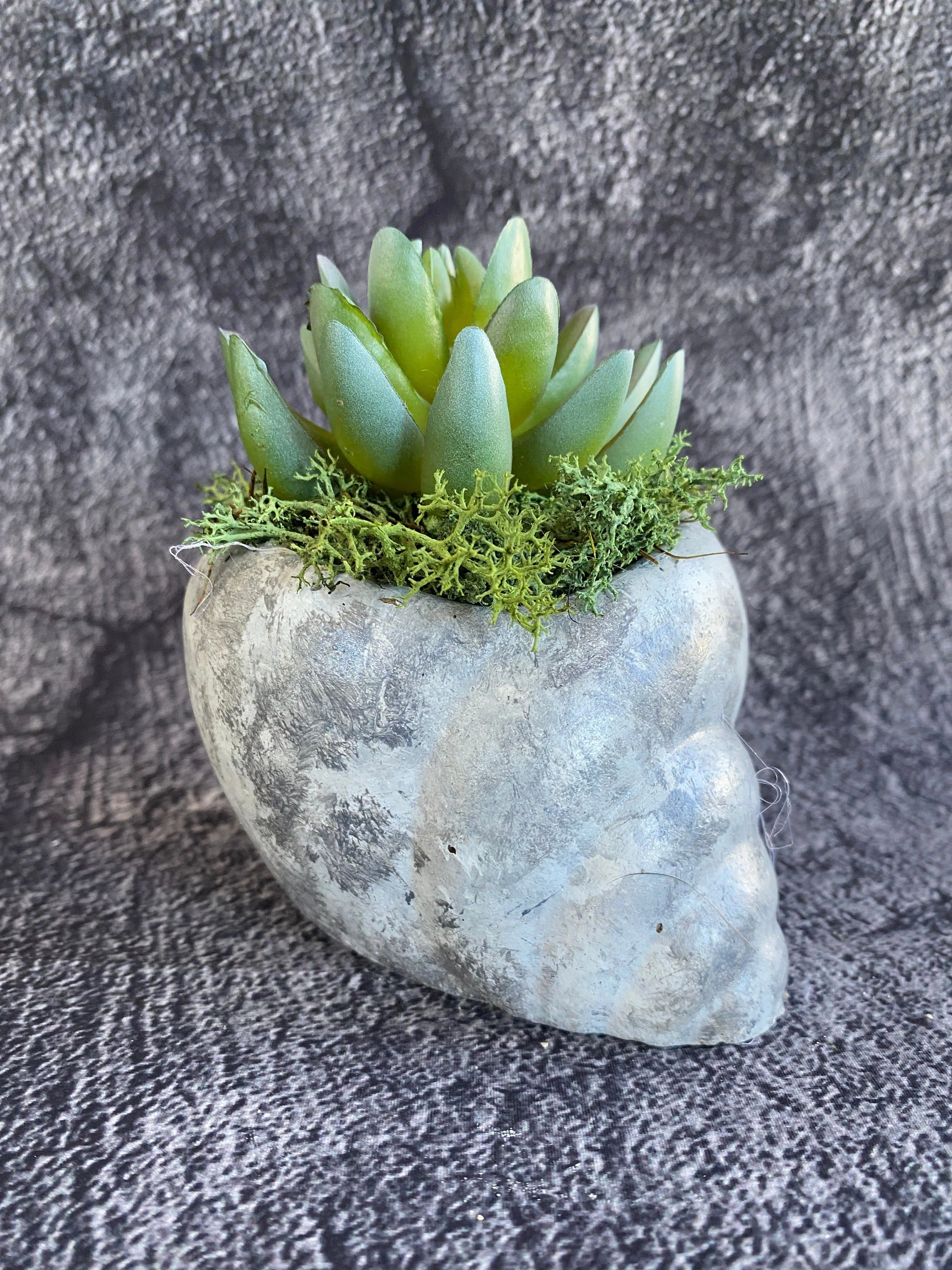https://i.etsystatic.com/10620570/r/il/a963aa/5445461229/il_fullxfull.5445461229_h3n5.jpg