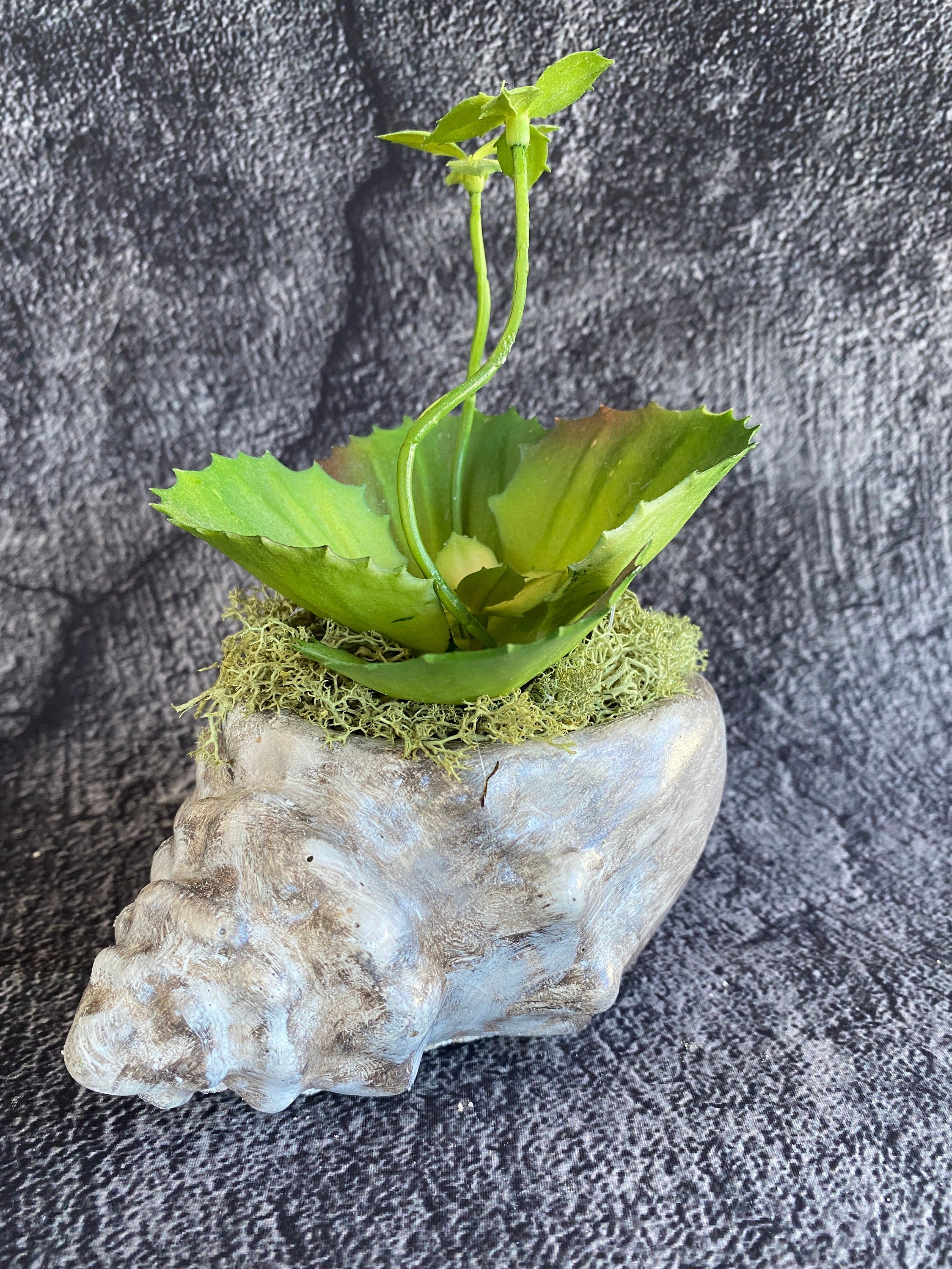 https://i.etsystatic.com/10620570/r/il/c0d6e1/5445422627/il_fullxfull.5445422627_ga06.jpg