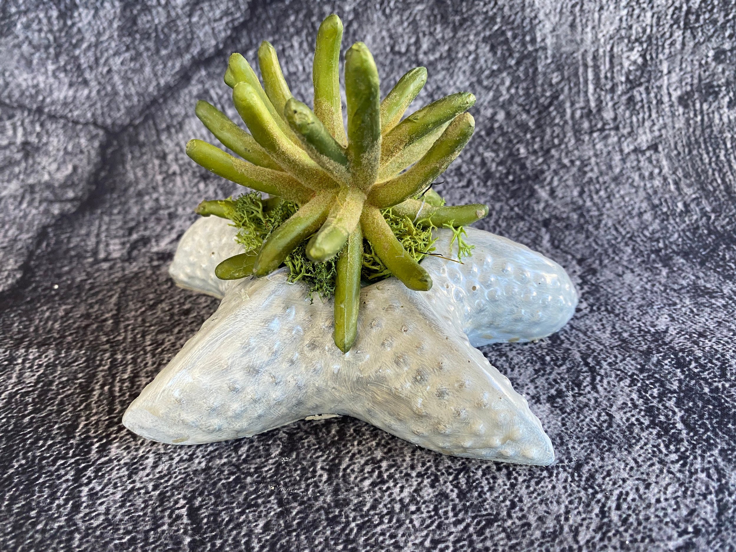 https://i.etsystatic.com/10620570/r/il/f6c6cf/5443642409/il_fullxfull.5443642409_sa6k.jpg