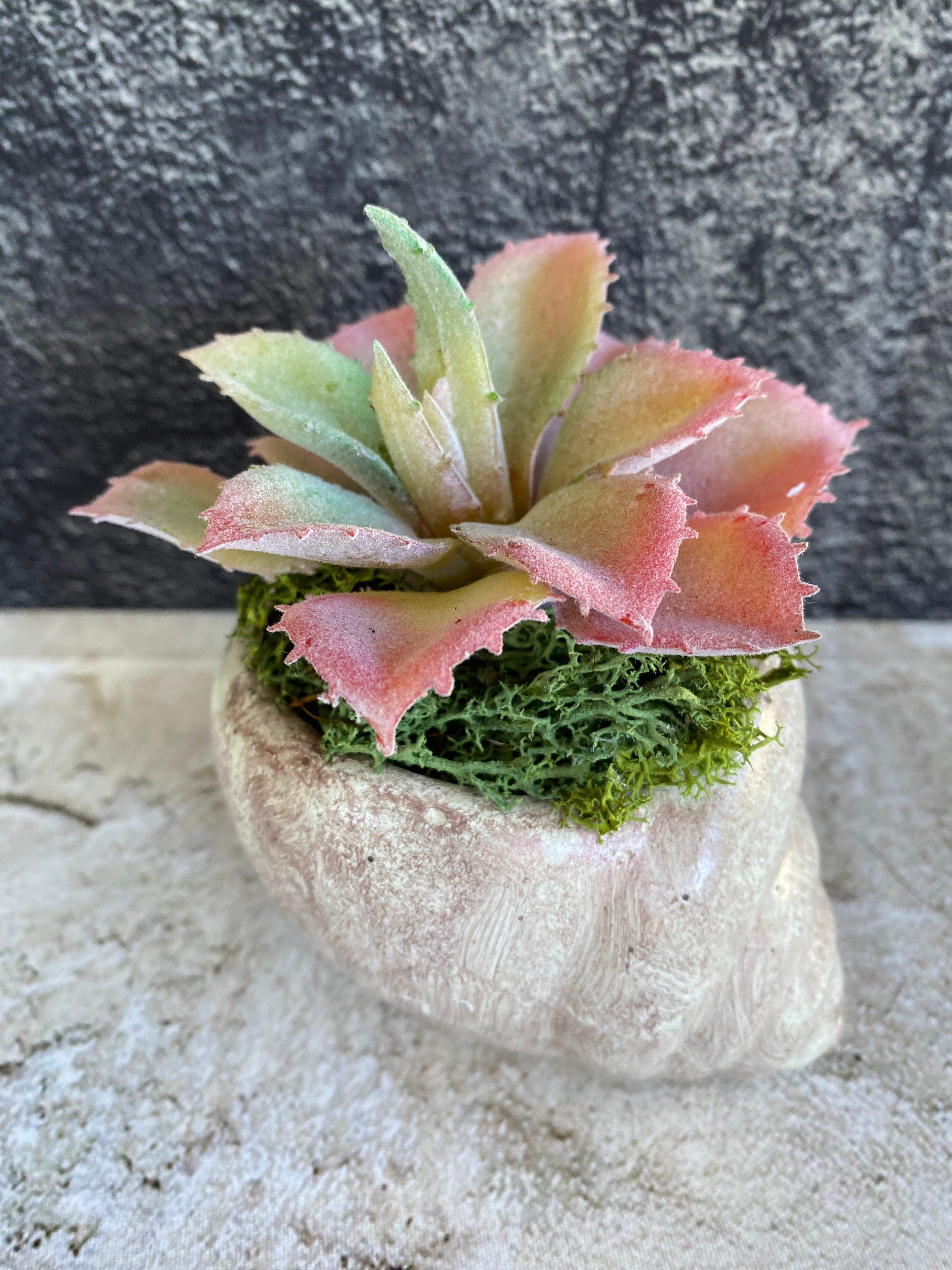 https://i.etsystatic.com/10620570/r/il/b48ab0/5443344217/il_fullxfull.5443344217_dx0l.jpg