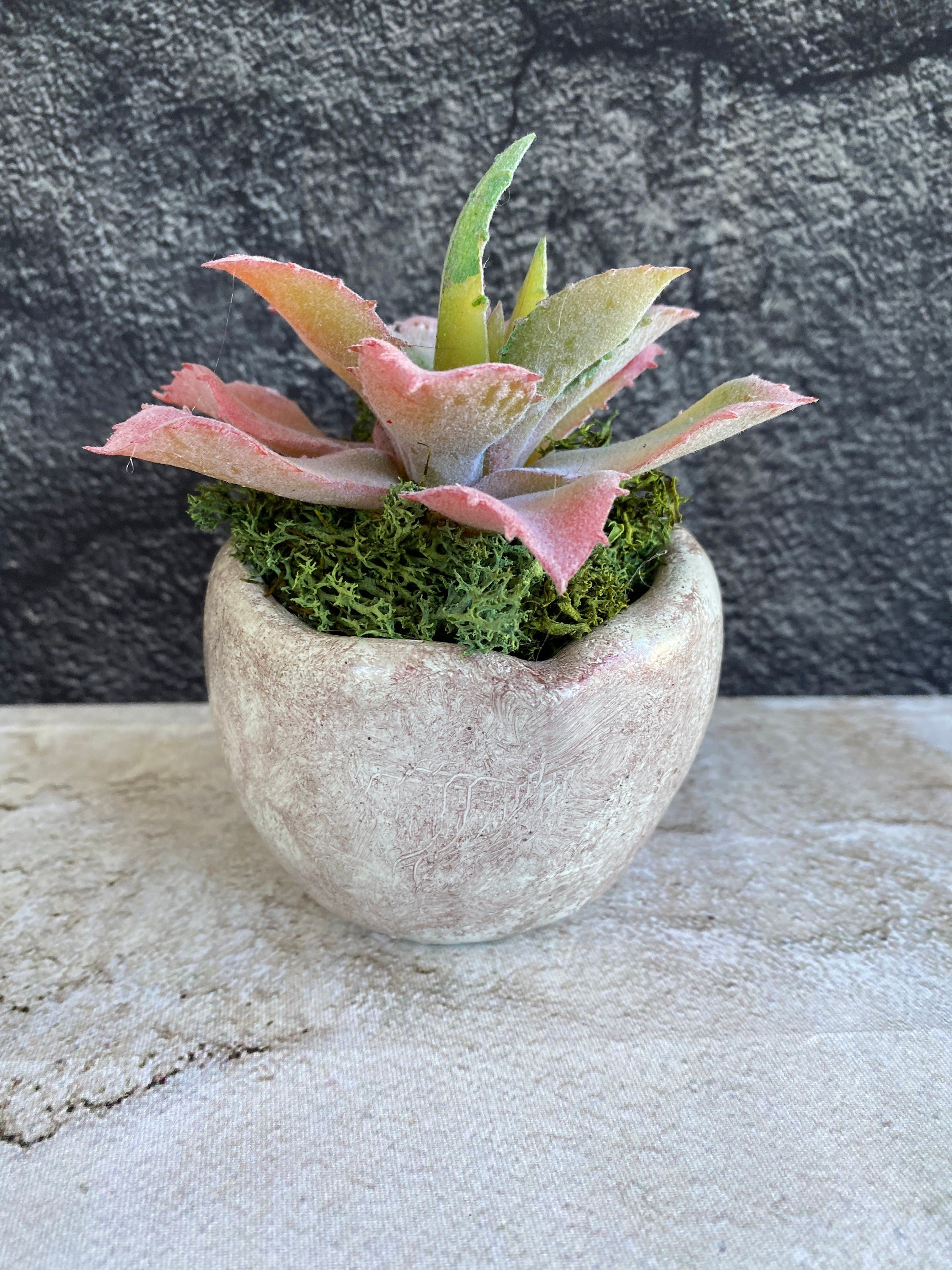https://i.etsystatic.com/10620570/r/il/7165be/5443344233/il_fullxfull.5443344233_72rm.jpg