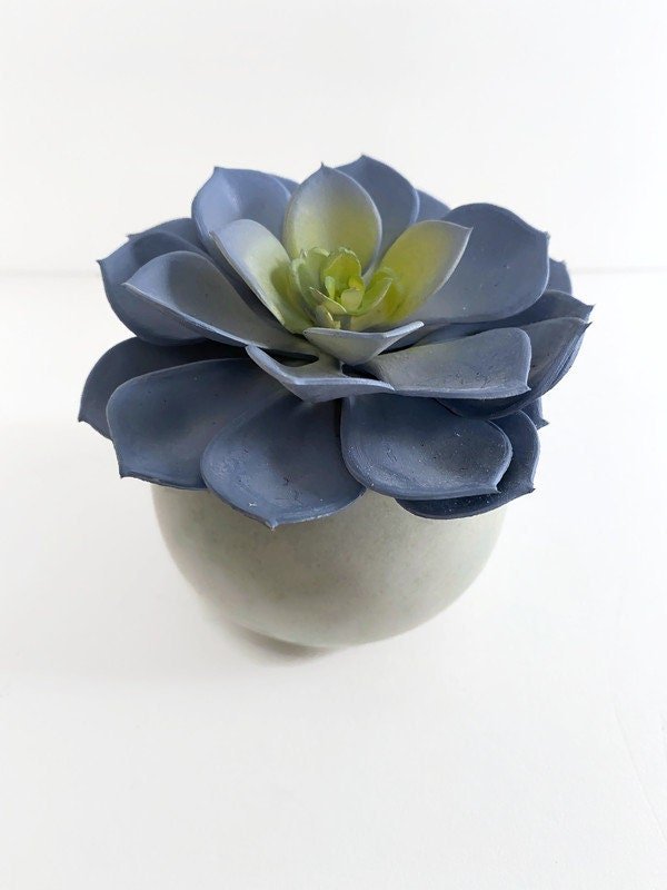 https://i.etsystatic.com/10620570/r/il/f65bf0/3906790028/il_fullxfull.3906790028_ijf3.jpg