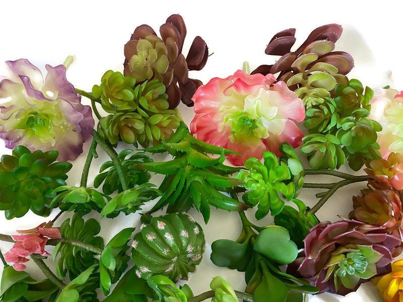https://i.etsystatic.com/10620570/r/il/b6f041/4546732267/il_fullxfull.4546732267_nfq3.jpg