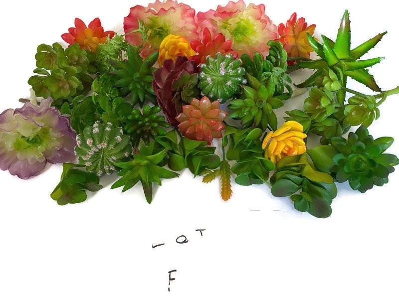 https://i.etsystatic.com/10620570/r/il/83b717/4546720829/il_fullxfull.4546720829_bob5.jpg