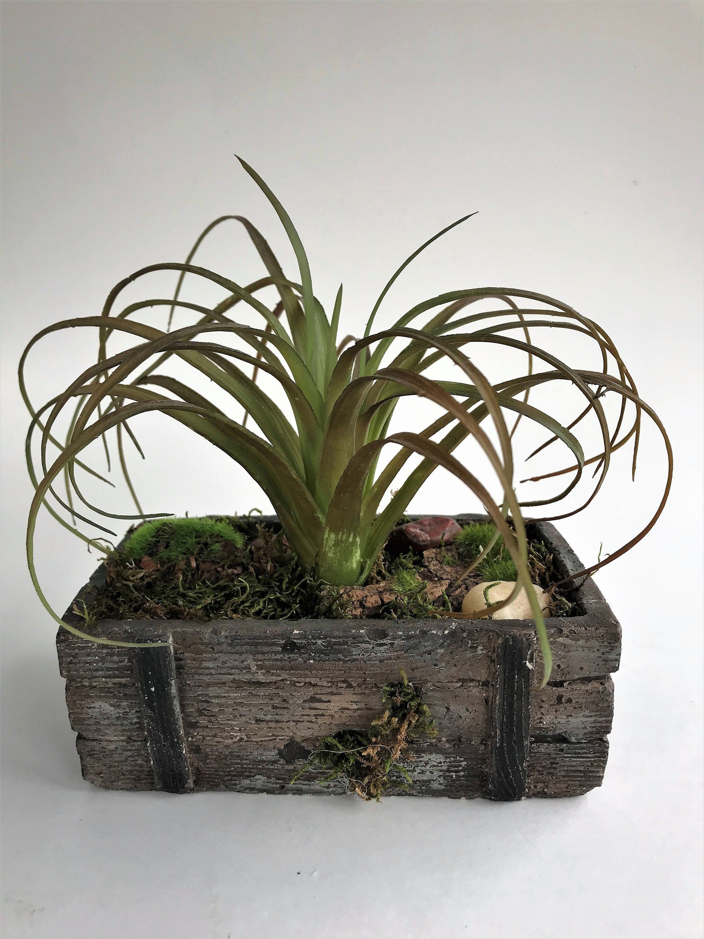 https://i.etsystatic.com/10620570/r/il/60b9b7/2531134097/il_fullxfull.2531134097_fx0c.jpg