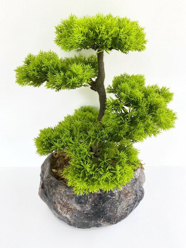 https://i.etsystatic.com/10620570/r/il/fff967/4117025588/il_fullxfull.4117025588_pm2t.jpg