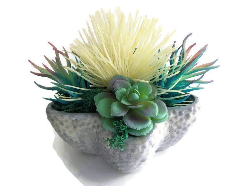 https://i.etsystatic.com/10620570/r/il/7db599/3615890703/il_fullxfull.3615890703_dj9u.jpg