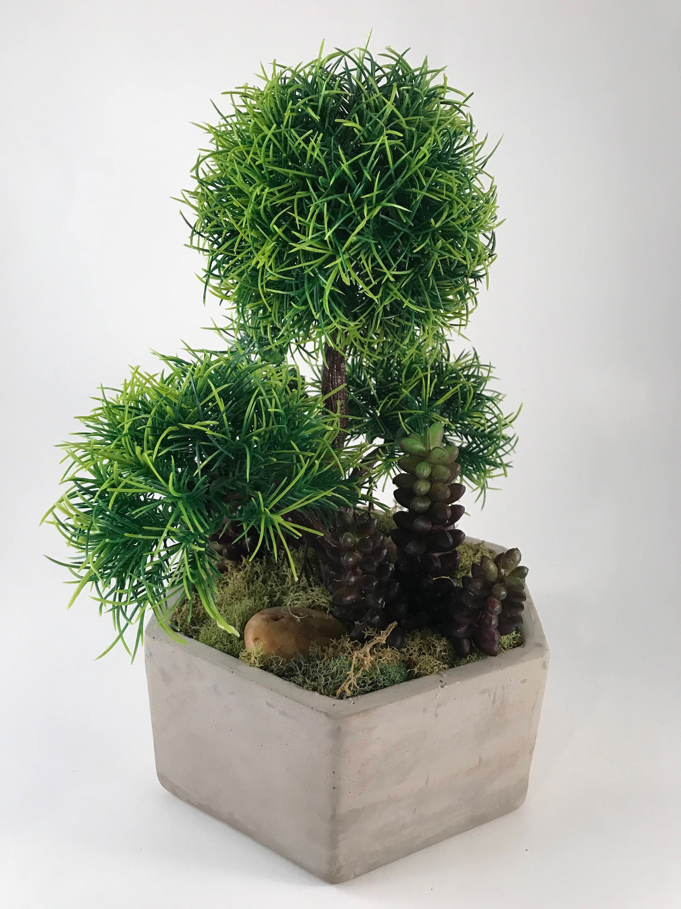 https://i.etsystatic.com/10620570/r/il/d9f9f9/1767469081/il_fullxfull.1767469081_scyy.jpg
